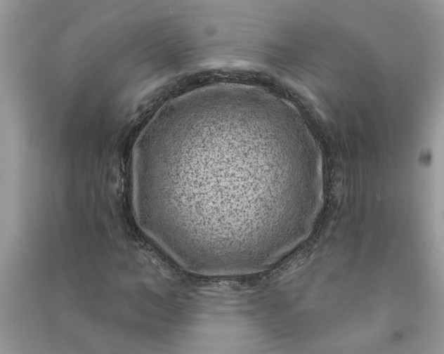 X0000091000966200708161935