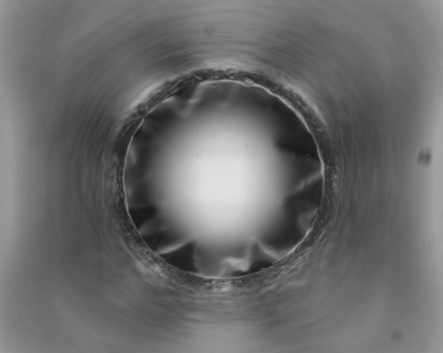 X0000091000968200708161935