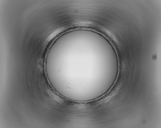 X0000091000970200708161935