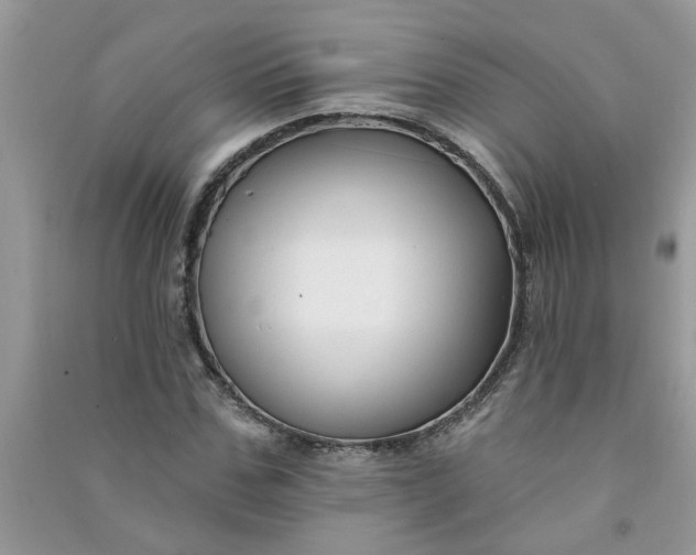 X0000091000971200708161935