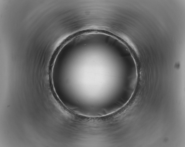 X0000091000972200708161935