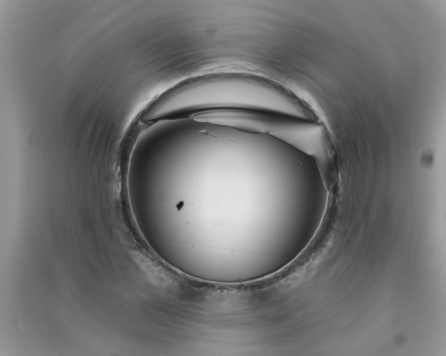 X0000091000973200708161935