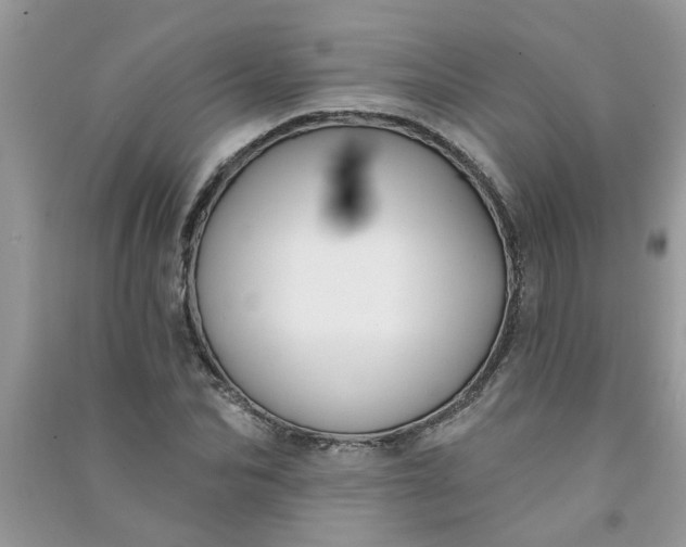 X0000091000974200708161935