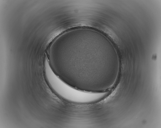 X0000091000977200708161934
