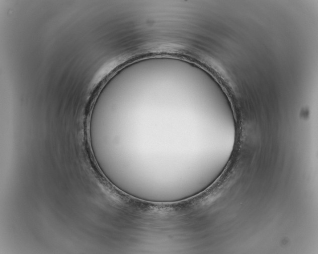 X0000091000978200708161934