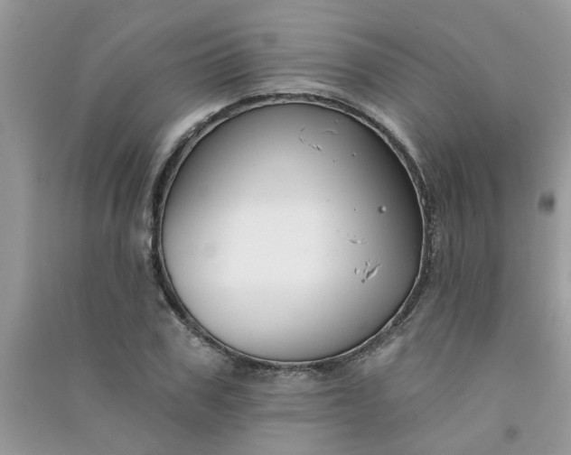 X0000091000979200708161934