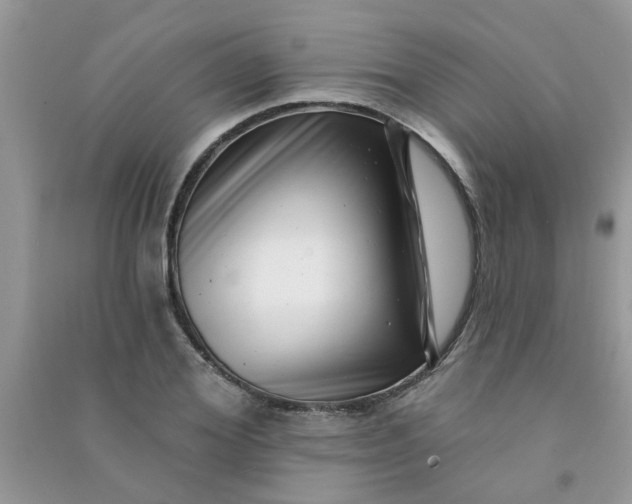 X0000091000980200708161934