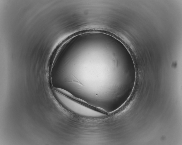 X0000091000981200708161934