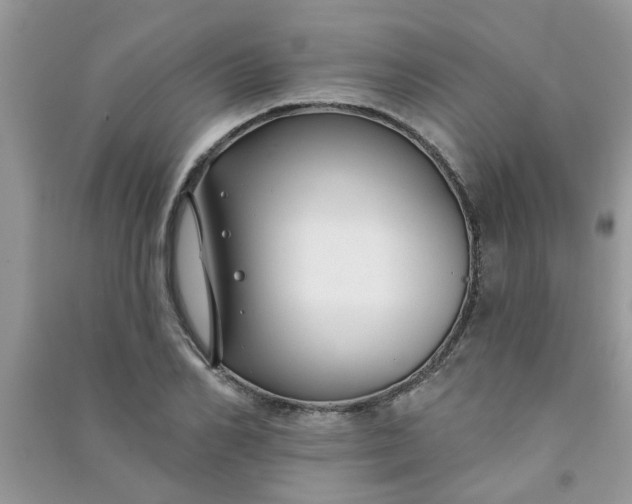 X0000091000982200708161934