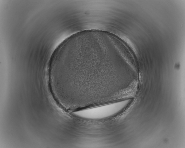 X0000091000983200708161934