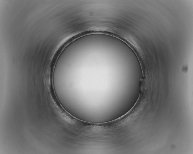 X0000091000984200708161934