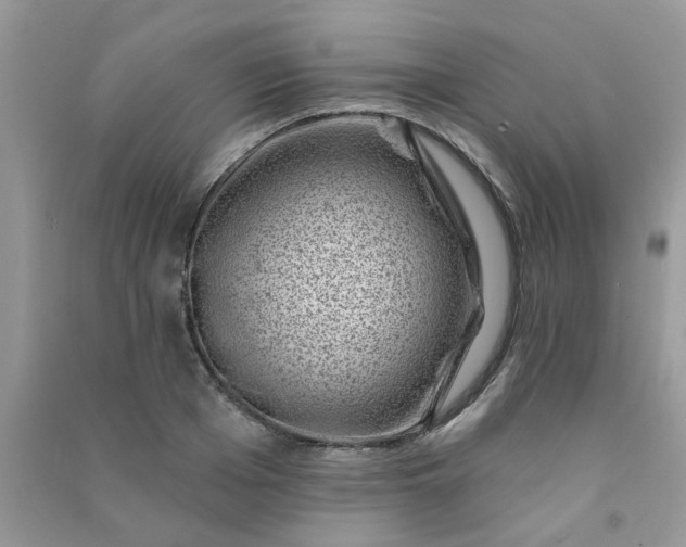 X0000091000985200708161934