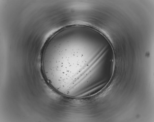 X0000091000987200708161934