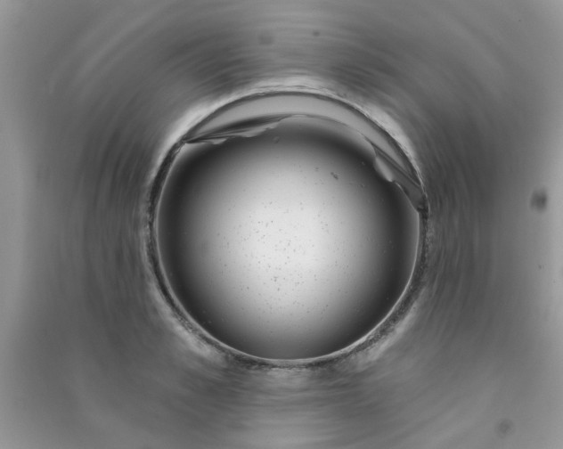 X0000091000989200708161934