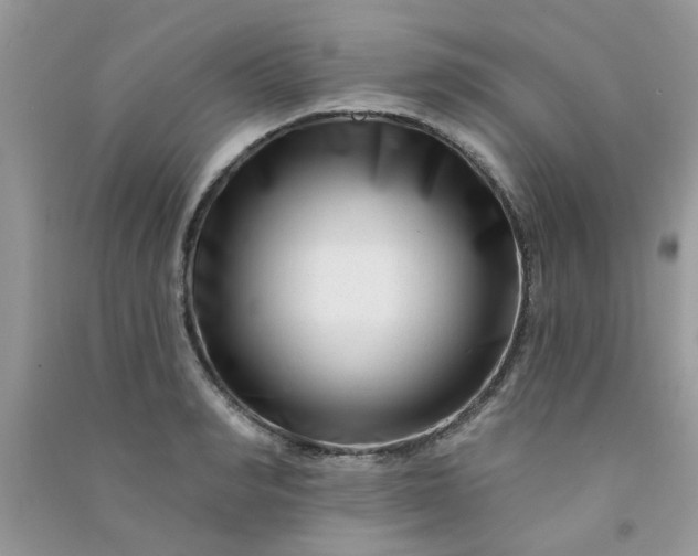 X0000091000990200708161934