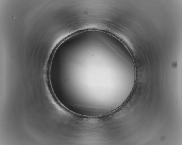 X0000091000991200708161934