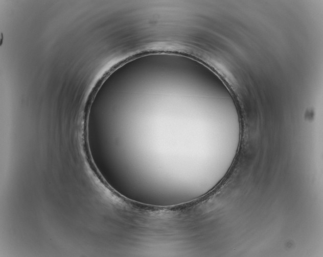 X0000091000992200708161934