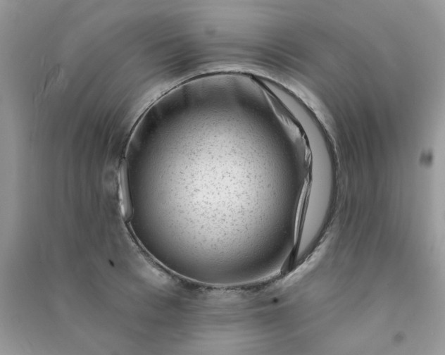 X0000091000993200708161934