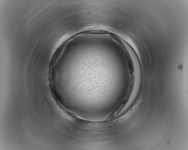 X0000091000997200708161934