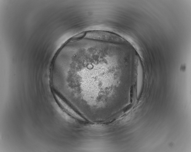 X0000091000998200708161934
