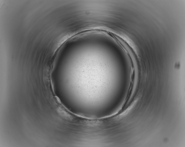 X0000091001001200708161934