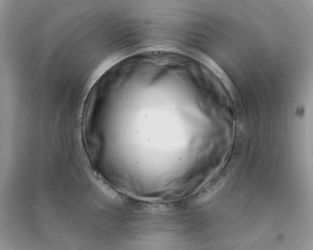 X0000091001002200708161934