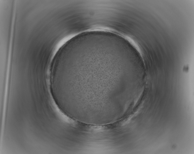 X0000091001003200708161934