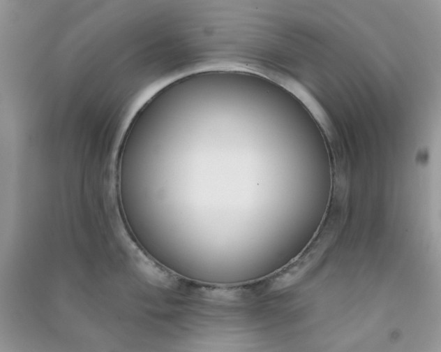 X0000091001004200708161934