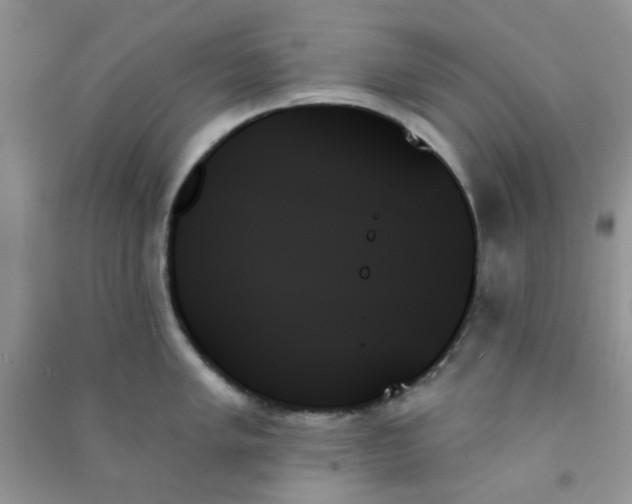 X0000091001005200708161934