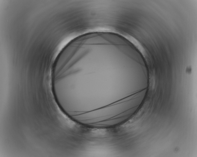 X0000091001006200708161934