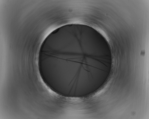 X0000091001007200708161934