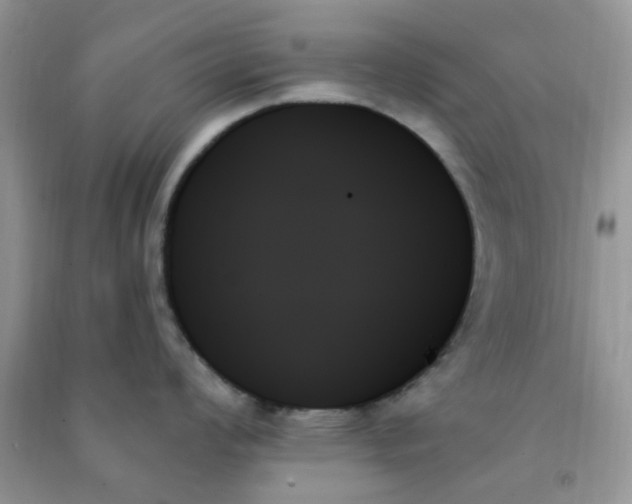X0000091001008200708161934