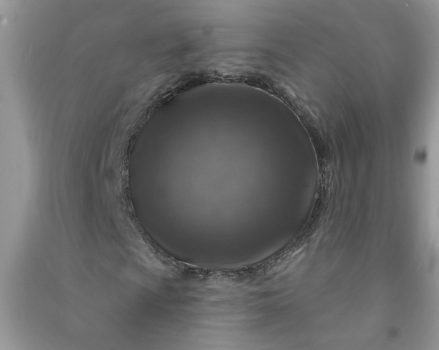 X0000091001009200708161934