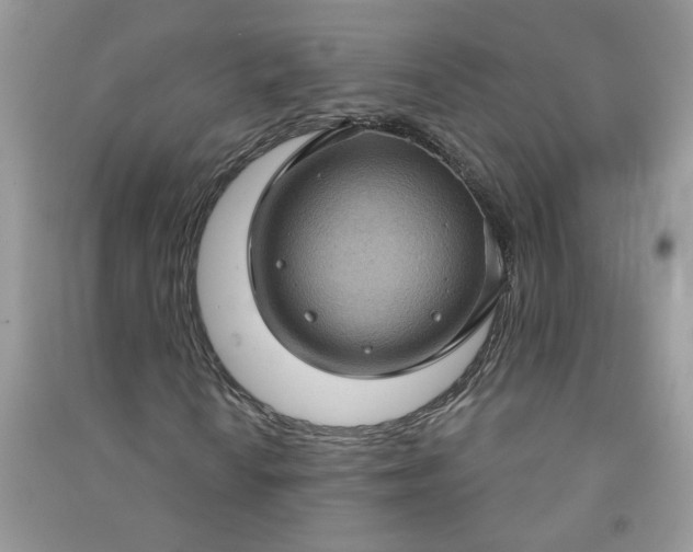 X0000091001010200708161934