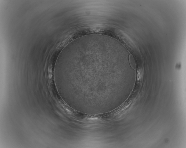 X0000091001011200708161934
