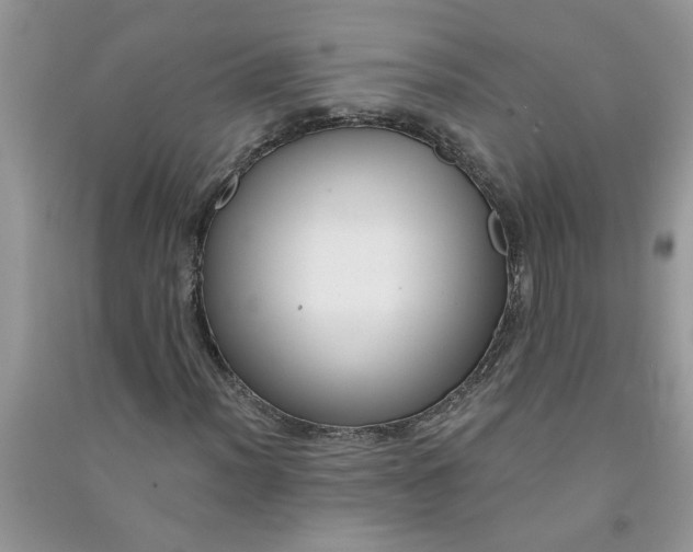 X0000091001012200708161934