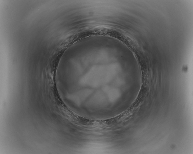 X0000091001013200708161934