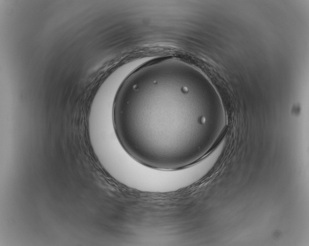 X0000091001014200708161934
