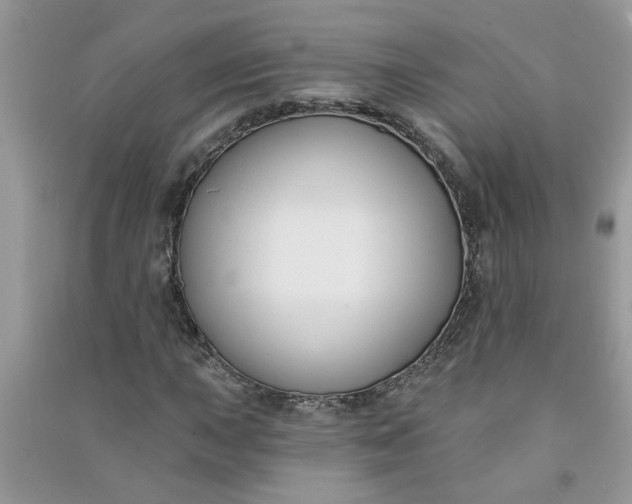 X0000091001015200708161934