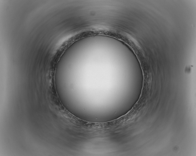 X0000091001016200708161934