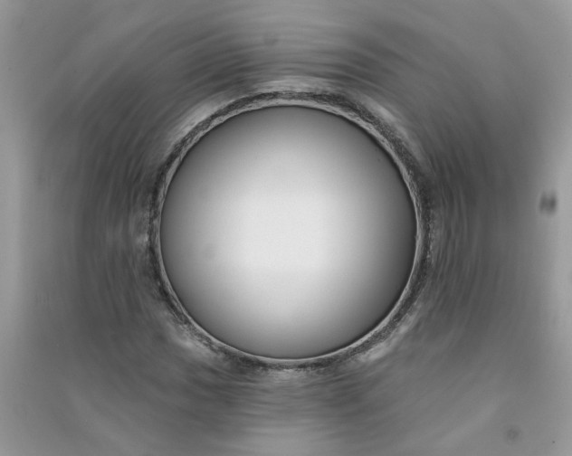 X0000091001017200708161934