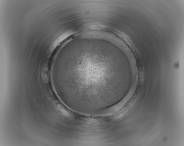 X0000091001018200708161934