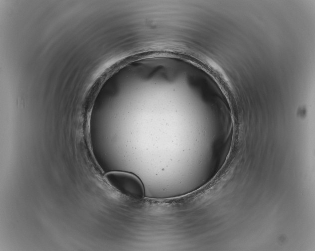 X0000091001019200708161934