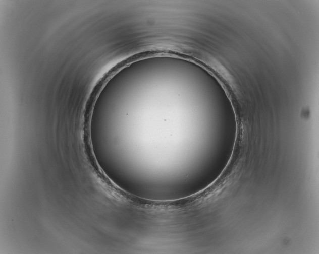 X0000091001020200708161934