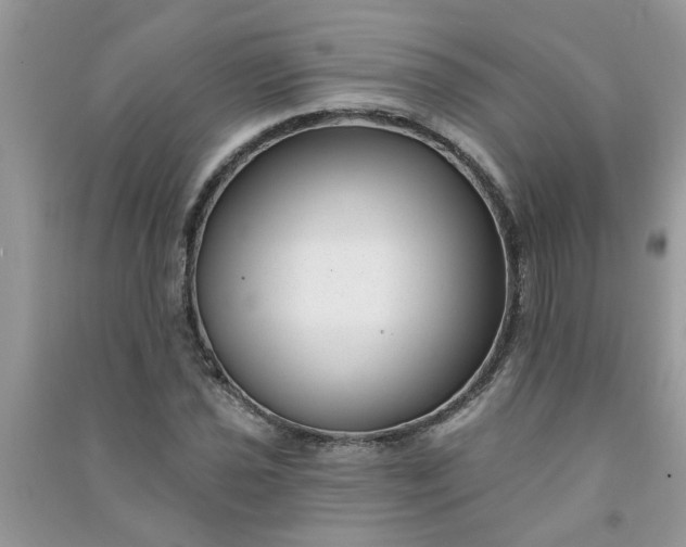 X0000091001021200708161934