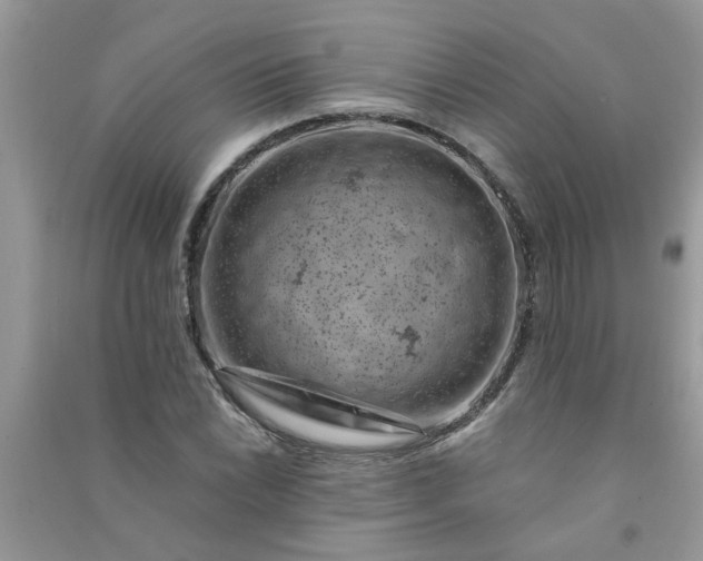 X0000091001022200708161934