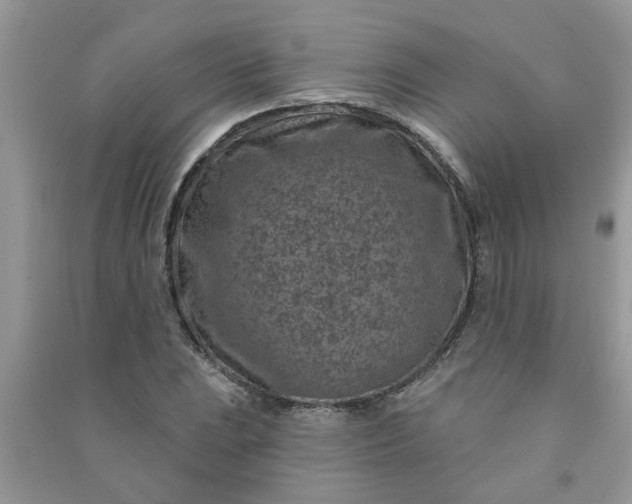 X0000091001023200708161934