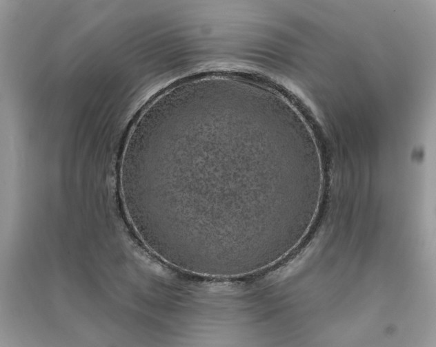 X0000091001025200708161934