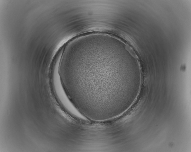 X0000091001026200708161934