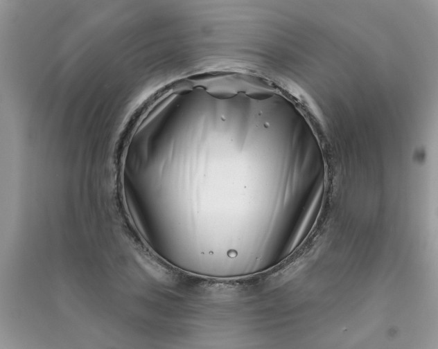 X0000091001027200708161934